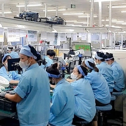 Luật sư: Người lao động có thể nhận tiền lương đến 490% khi đi làm trong Tết