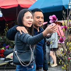 Săn đặc sản ăn chơi ngày Tết - Kỳ 5: Chưng hoa lạ lạ, bánh mứt lành lành