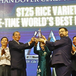 Anh hùng lao động Hồ Quang Cua lần thứ ba nhận cúp 'Gạo ngon nhất thế giới' với gạo ST25