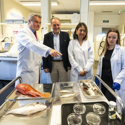 Tây Ban Nha phát triển thành công giác mạc nhân tạo từ vảy cá