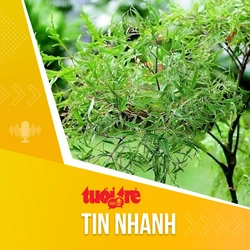 Tin tức sáng 19-3: Việt Nam có hơn 5.000 loài cây, con có thể dùng làm thuốc