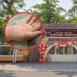 Xác minh thông tin cô giáo tiểu học dùng thước gỗ đánh gãy tay học sinh vì quên mang vở