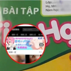 Chủ biên cuốn vở bài tập Tin học lớp 3 nói về sự cố link web đen trong sách