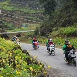 Chấn chỉnh tour du lịch bằng xe máy trên cung đường Hà Giang Loop sau vụ nữ du khách người Anh thiệt mạng
