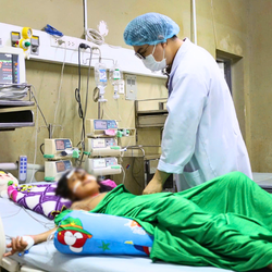 Chơi trốn tìm trong bụi cây, hai em nhỏ ở Cà Mau bị ong vò vẽ đốt hàng chục vết