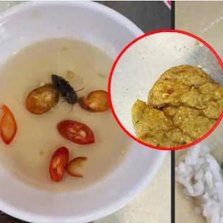 Sinh viên phản ánh thức ăn ở trung tâm giáo dục quốc phòng có 'vật thể lạ', công an vào cuộc xác minh