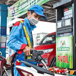 Lời khuyên của chuyên gia trước khi chuyển sang xăng E10
