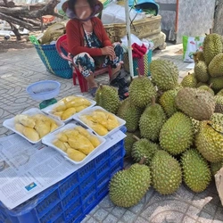 Sầu riêng '20k/kg' xuất hiện hàng loạt ở miền Tây, vì sao?