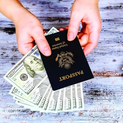 Vì sao số người Mỹ từ bỏ quốc tịch tăng cao?