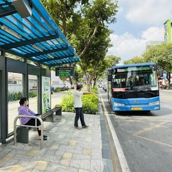 TP.HCM miễn phí xe buýt 134 tuyến từ ngày 1-7