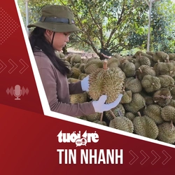 Tin tức tối 23-7: Giá sầu riêng ở thủ phủ Lâm Đồng rớt sâu