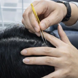 Sự thật về quan niệm 'nhổ một sợi tóc bạc sẽ mọc thêm nhiều sợi khác'