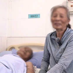 Cứu sống cụ ông 98 tuổi bị đàn ong vò vẽ đốt 80 vết