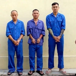 Lý do Khánh Sky, Vua Quạt và Hồ Văn Khoa bị khởi tố