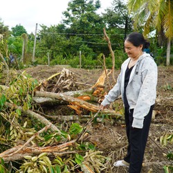 Manh mối tìm thấy 71 bộ hài cốt liệt sĩ tại một vườn sâu riêng ở Ngũ Hiệp, Đồng Tháp