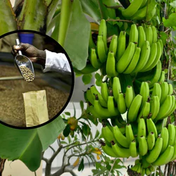 Nên hạn chế kết hợp 6 loại thực phẩm này nếu không muốn phản tác dụng, chướng bụng