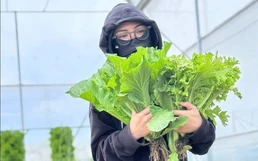 Remote farming, vegetable boxes fuel a clean, green lifestyle in Vietnam
