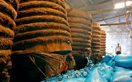 Recent floods devastate Vietnam’s Phan Thiet fish sauce cluster