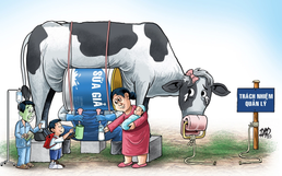 573 fake milk powder products distributed widely in Vietnam