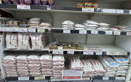 Vietnamese rice, fish sauce gradually gain traction in Japan