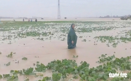 Storm Wutip causes flooding to over 700 homes, vast farmland in Vietnam’s Quang Nam