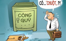 Loài chuột "lạ"