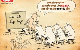 Học giỏi được làm giả cầy, học dốt thành kho tàu hết