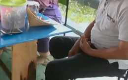 Vừa ăn vừa được cá massage chân