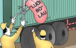 Kiểm soát "lưỡi bò" ngay từ gốc