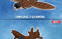 Nếu chim ưng là F-22 Raptor, chim cú là Su-30MKI thì chim cắt là gì?