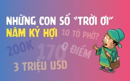 Những con số trời ơi đất hỡi năm Kỷ Hợi