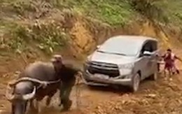 'Động cơ ăn cỏ' kéo ôtô leo dốc