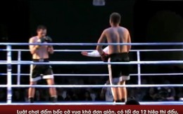 Bộ môn Chess Boxing -  Vừa chơi cờ vừa đấu võ