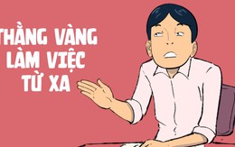 Gu ăn mặc khi làm việc từ xa mùa CoVid của thằng Vàng