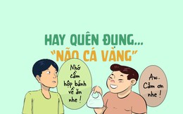 Hay quên đụng não cá vàng