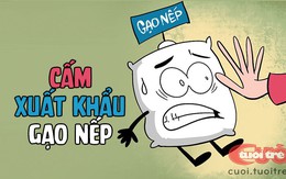 Cấm xuất khẩu gạo nếp!