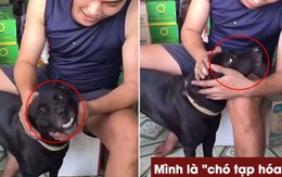 Thanh niên dạy chó cưng: 'Mình là chó tạp hóa không được sủa khách'