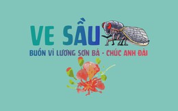 Sự tích con Ve Sầu