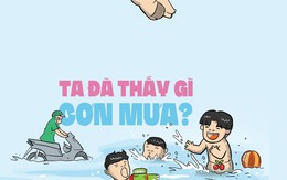 Ta đã thấy gì sau cơn mưa?