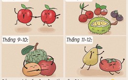 Trái cây 4 mùa, mùa nào cũng có!