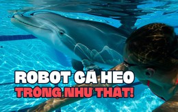 Người ta vẫn tin rằng đó là cá heo thật cho tới khi bí mật được tiết lộ