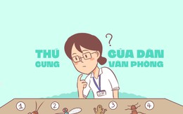 Dân văn phòng nuôi  thú cưng gì cho hợp phong thủy?