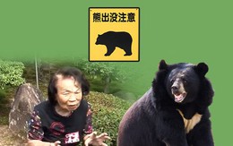 Bà ngoại 82 tuổi tay không đánh đuổi gấu ở Hiroshima
