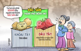 Đặc sản khoai tây tắm bùn, dâu tây trẻ mãi không già