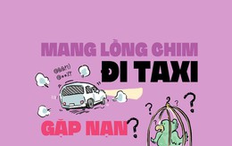 Gặp nạn vì mang lồng chim đi taxi