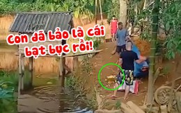 Hai bố con lâm cảnh 'xôi hỏng bỏng không' khi dùng bạt hứng mít