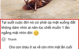 Vua Còm 3-9: 'Con gián chết nằm ngửa vì muốn một lần ngẩng mặt nhìn đời'