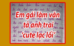 Cô bé tập làm văn tả anh trai: chân to do di truyền từ bố, đánh chị để bênh em, hay chém gió, sở hữu IQ trong top cao nhất TG