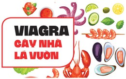 Viagra 'cây nhà lá vườn' không thua gì thuốc xịn!