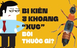 Bị kiến ba khoang cắn, bôi thuốc gì, có nên tắm?